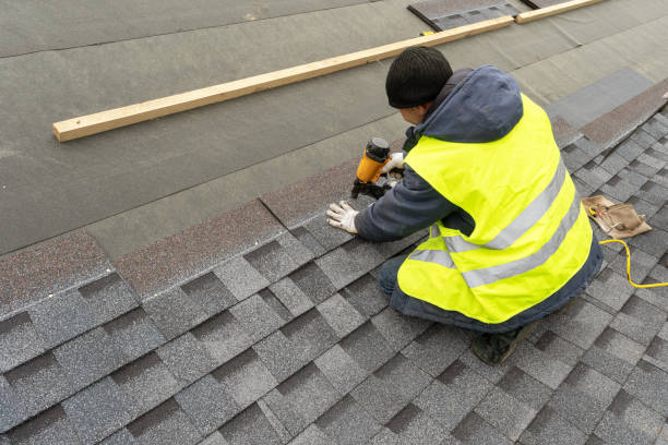 Best Roof Waterproofing Services  in Bellevle, IL