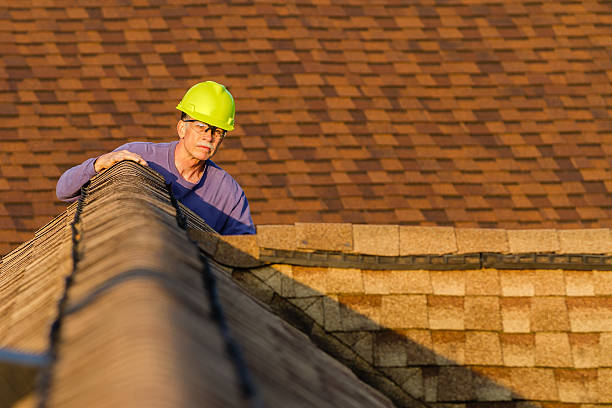 Best Roof Replacement Cost  in Bellevle, IL