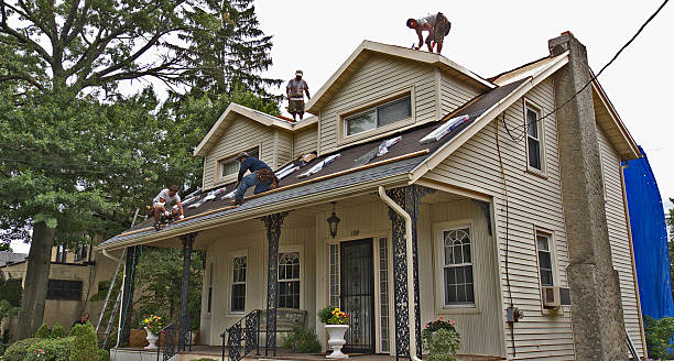 Best Local Roofing Companies  in Bellevle, IL