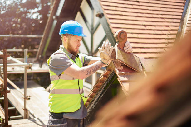 Best Roof Waterproofing Services  in Bellevle, IL